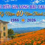 Gallery Cover Image